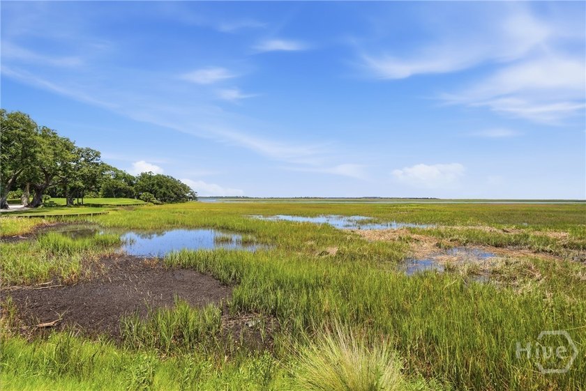 Unparalleled panoramic vistas await on this rare, buildable lot - photo 34