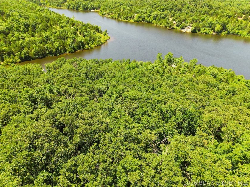 Enjoy the best of both worlds with this 0.21-acre second-tier - photo 2