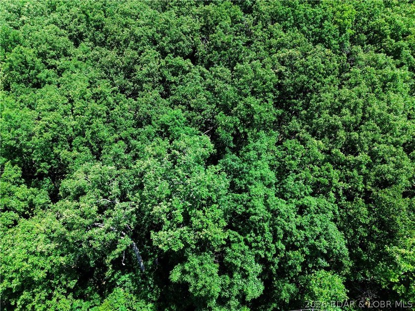 Enjoy the best of both worlds with this 0.21-acre second-tier - photo 4