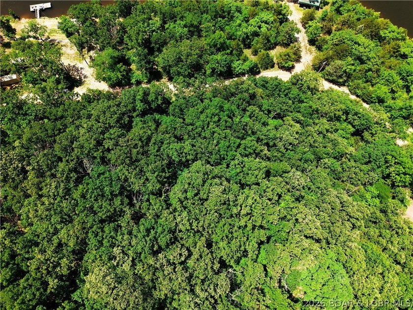 Enjoy the best of both worlds with this 0.21-acre second-tier - photo 5