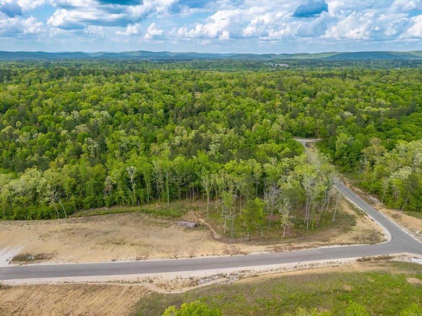 Exceptional 5.4 acre homesite in Rocky Point Estates, a new - photo 18