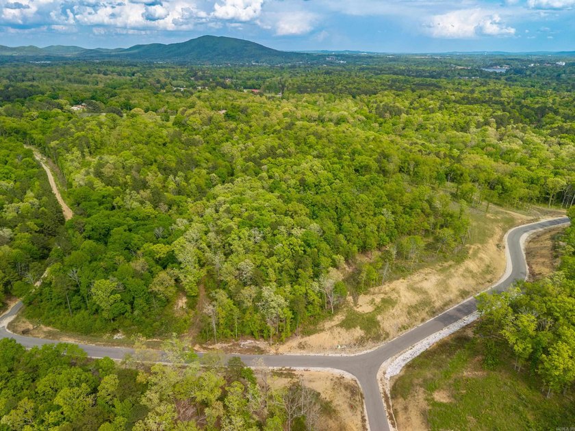 Exceptional 5.4 acre homesite in Rocky Point Estates, a new - photo 24
