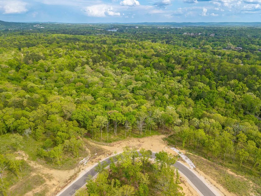 Exceptional 5.6 acre homesite in Rocky Point Estates, a new - photo 16