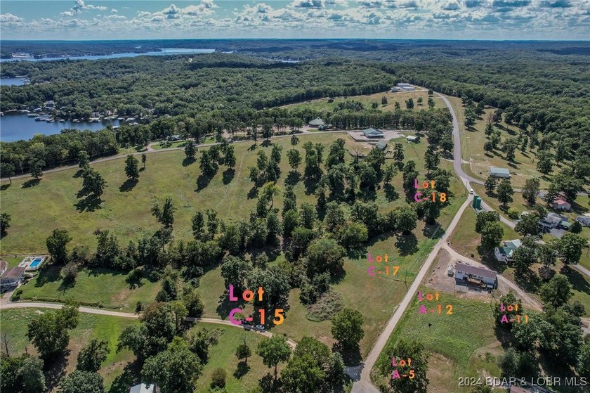 Another great building lot in Johnson's Bay subdivision, located - photo 15