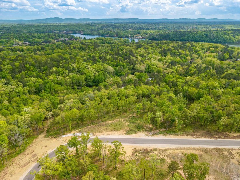 Exceptional 5.8 acre homesite in Rocky Point Estates, a new - photo 16