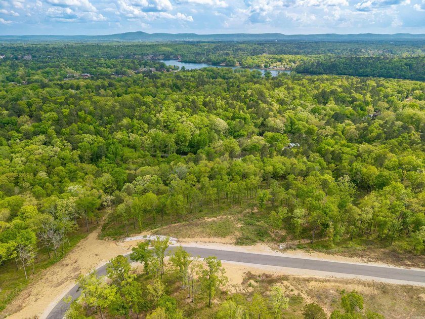 Exceptional 5.8 acre homesite in Rocky Point Estates, a new - photo 17