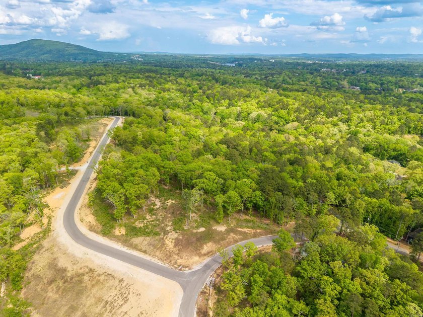 Exceptional 5.8 acre homesite in Rocky Point Estates, a new - photo 19