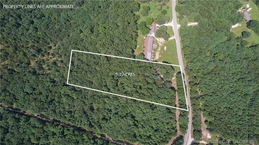 There is 5.3 acres of possibility. This expansive, mostly level - photo 2
