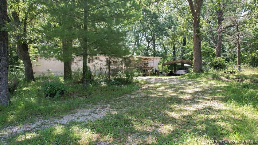 There is 5.3 acres of possibility. This expansive, mostly level - photo 3
