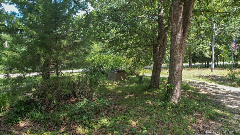 There is 5.3 acres of possibility. This expansive, mostly level - photo 4