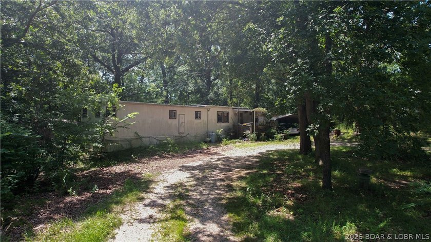 There is 5.3 acres of possibility. This expansive, mostly level - photo 5
