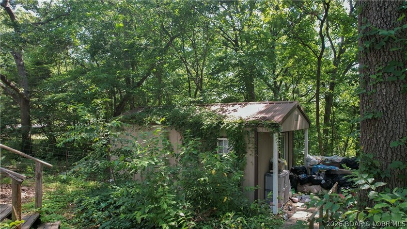 There is 5.3 acres of possibility. This expansive, mostly level - photo 6