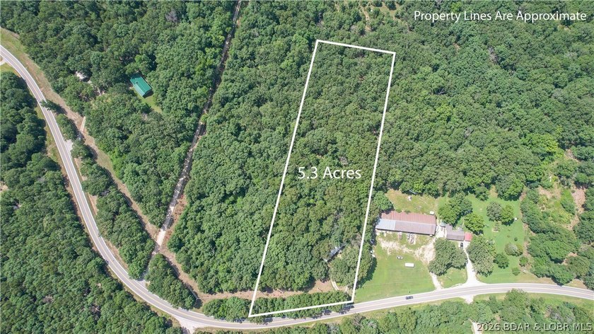There is 5.3 acres of possibility. This expansive, mostly level - photo 7