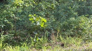 Almost a full acre lot just walking distance from the private - photo 2