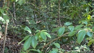 Almost a full acre lot just walking distance from the private - photo 3