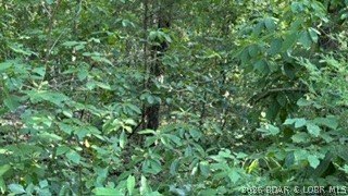 Almost a full acre lot just walking distance from the private - photo 4