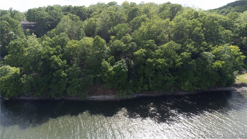 Enjoy over 200 feet of lakefront with deep water, expansive main - photo 10