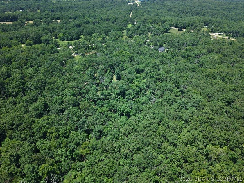 Enjoy the privacy of 31.78 mostly fenced acres just off P Road - photo 9