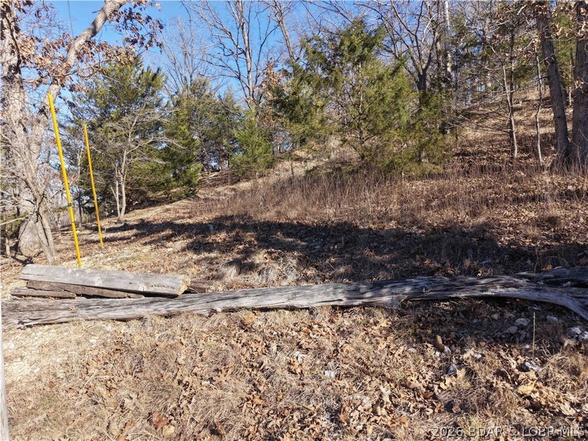 Create your own Lake of the Ozarks retreat on this peaceful - photo 10