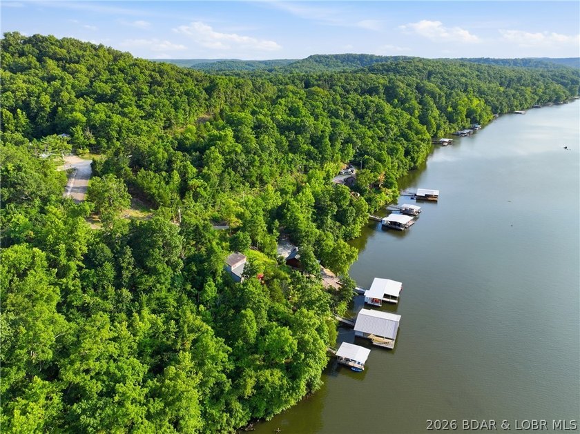 Build your dream lake home on this exceptional waterfront lot in - photo 6