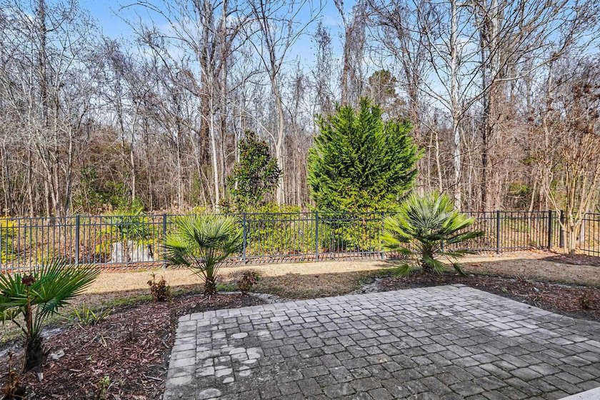 Discover your dream home in The Bluffs on the Waterway, a - photo 25