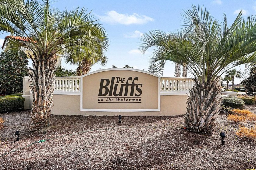 Discover your dream home in The Bluffs on the Waterway, a - photo 38