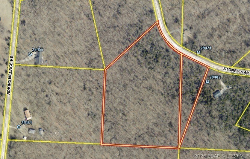 Build your vision on 12.20 wooded acres in Gravois Mills, MO - photo 4