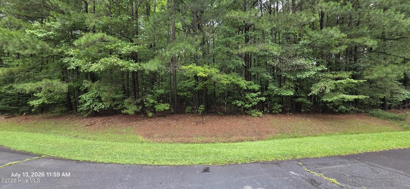 Build your dream home on this beautiful 4.21 acre wooded - photo 2