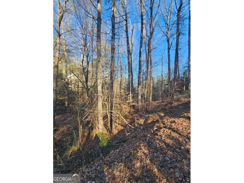 Tucked away in the sought-after Eagle Mountain section of - photo 4