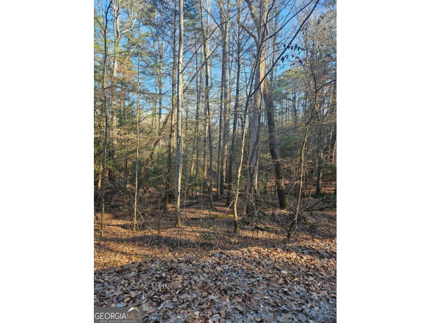Tucked away in the sought-after Eagle Mountain section of - photo 6