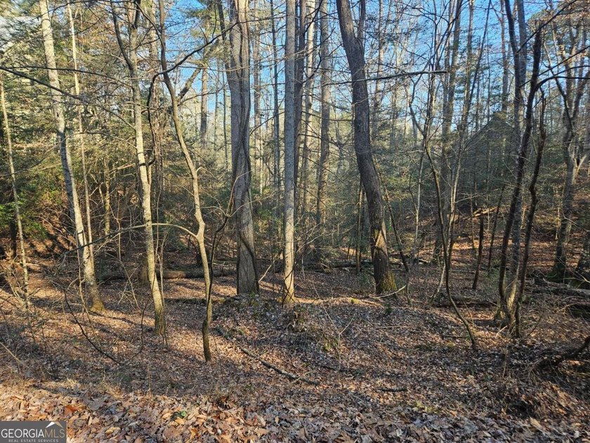 Tucked away in the sought-after Eagle Mountain section of - photo 8