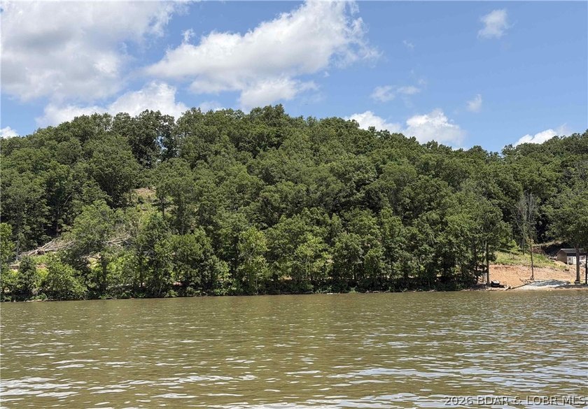 Ready to build your dream home at the Lake of the Ozarks? This - photo 2
