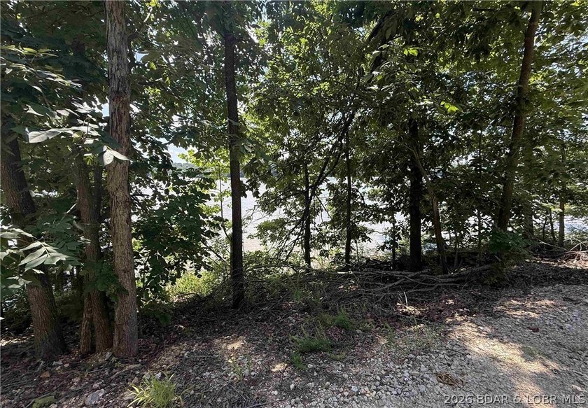 Ready to build your dream home at the Lake of the Ozarks? This - photo 4
