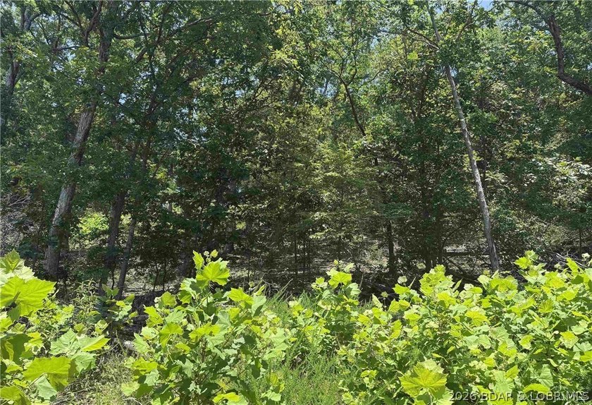 Ready to build your dream home at the Lake of the Ozarks? This - photo 6