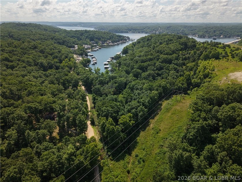 Discover the natural beauty of this 4.2-acre wooded tract in the - photo 2