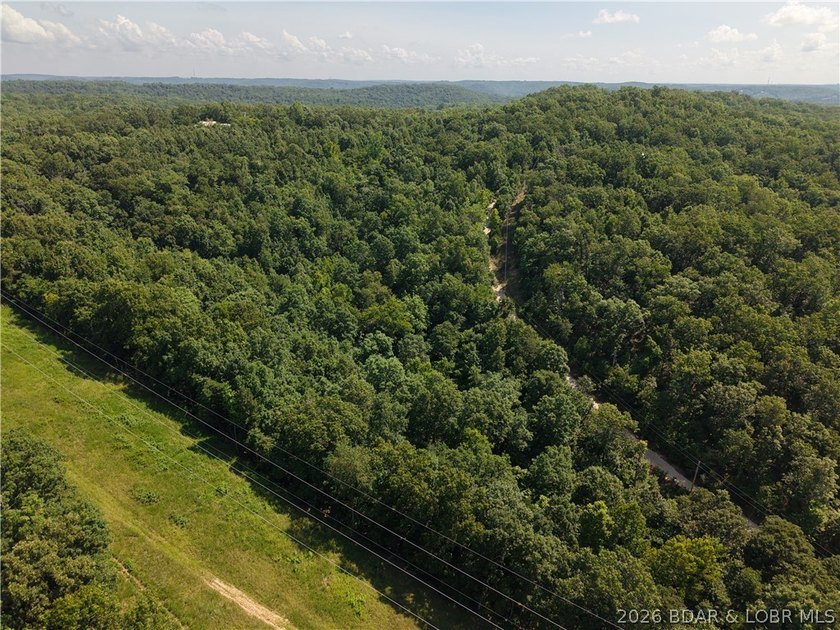 Discover the natural beauty of this 4.2-acre wooded tract in the - photo 3