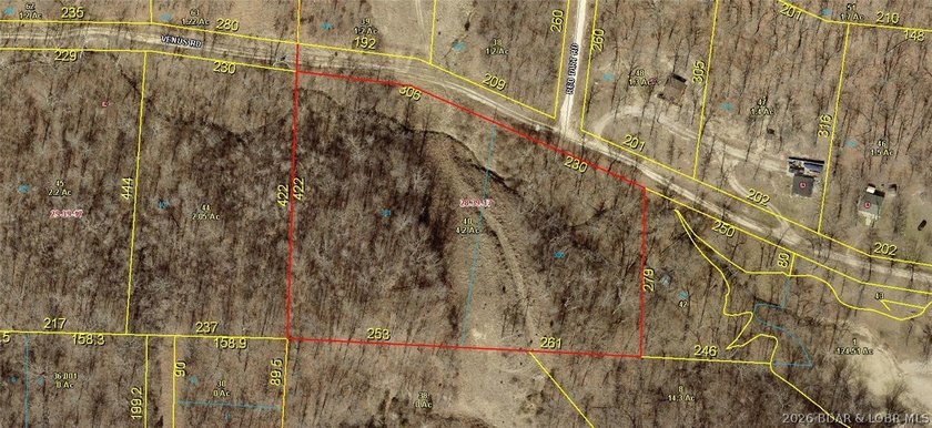 Discover the natural beauty of this 4.2-acre wooded tract in the - photo 4