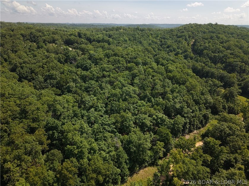 Discover the potential of this 1.2-acre wooded tract in the Twin - photo 2