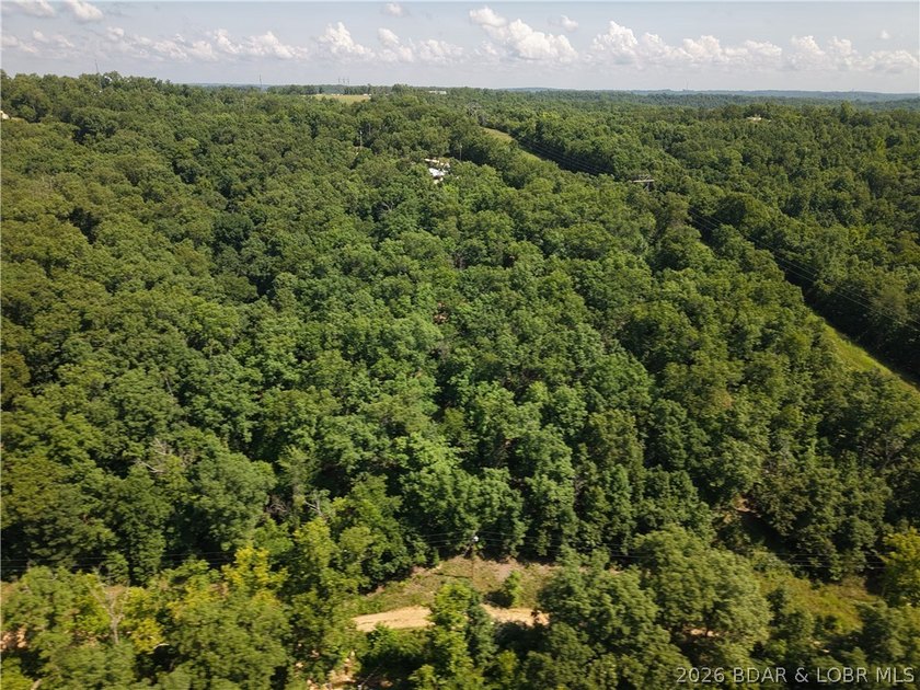 Discover the potential of this 1.2-acre wooded tract in the Twin - photo 3