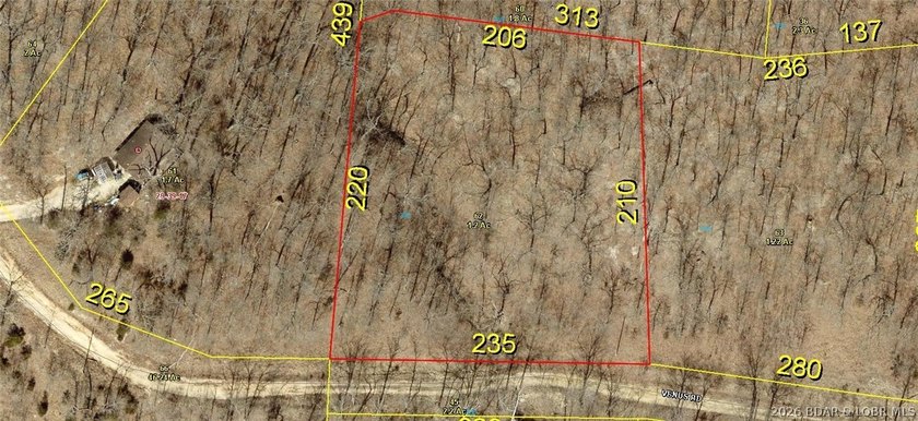 Discover the potential of this 1.2-acre wooded tract in the Twin - photo 4