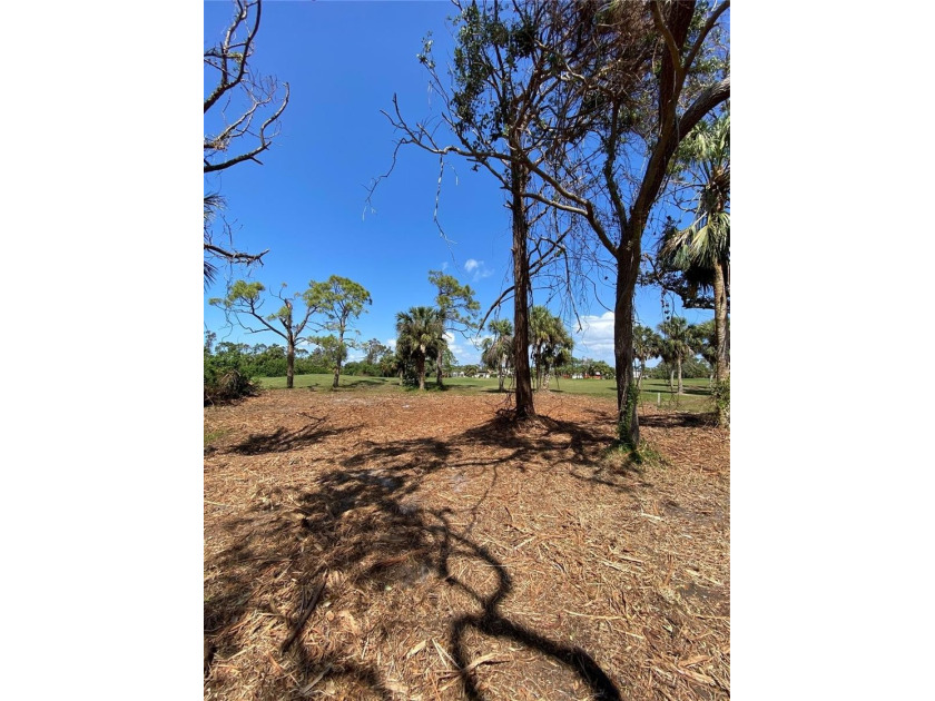 Come build your dream home in desirable Long Meadow of Rotonda - photo 4
