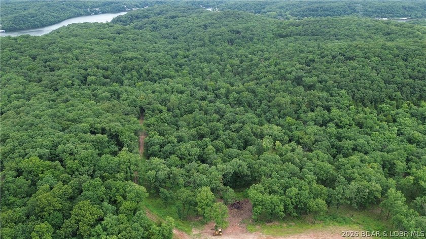 68 acres of opportunity in the heart of the Ozarks! Whether - photo 3