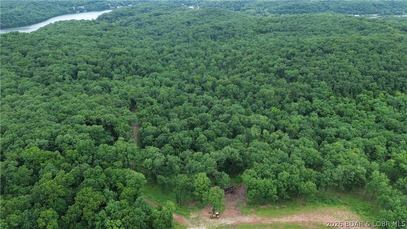 68 acres of opportunity in the heart of the Ozarks! Whether - photo 6