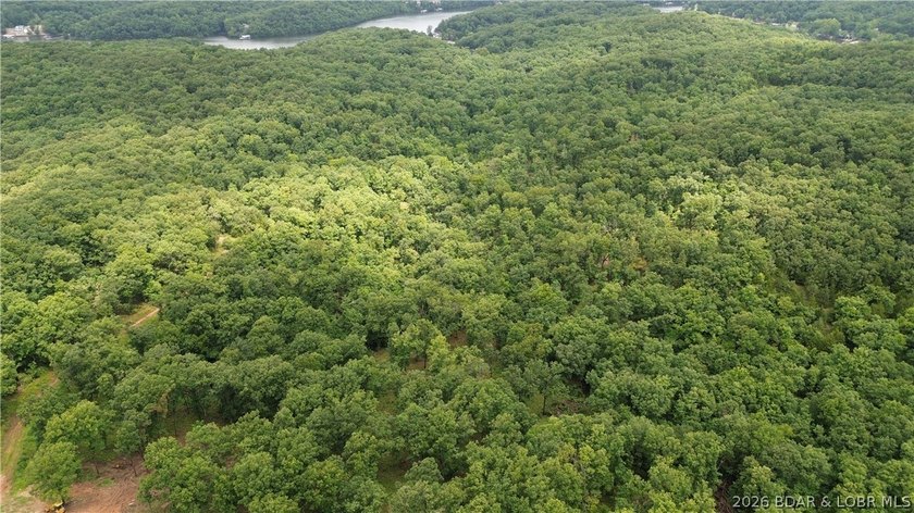 68 acres of opportunity in the heart of the Ozarks! Whether - photo 7
