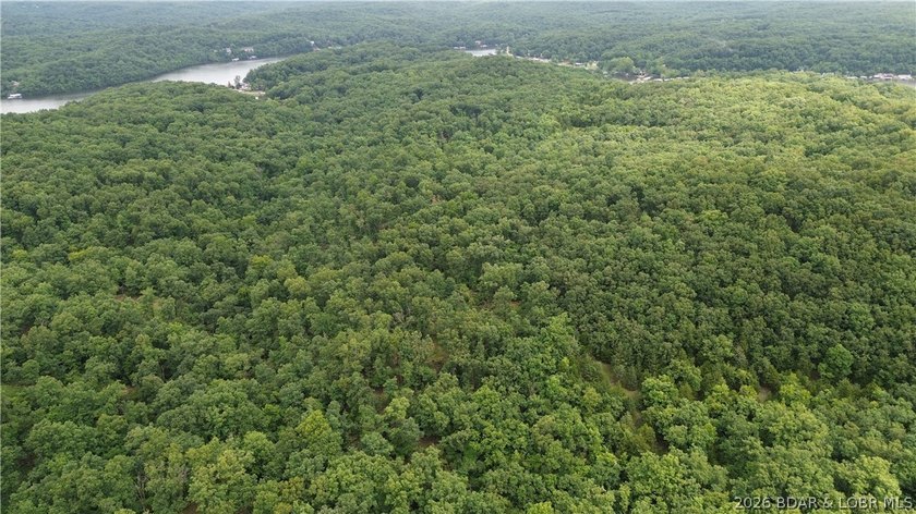 68 acres of opportunity in the heart of the Ozarks! Whether - photo 8