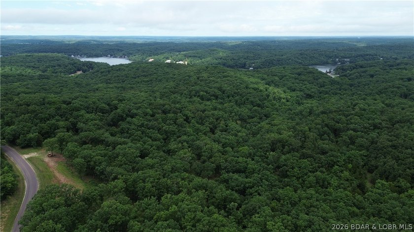68 acres of opportunity in the heart of the Ozarks! Whether - photo 9