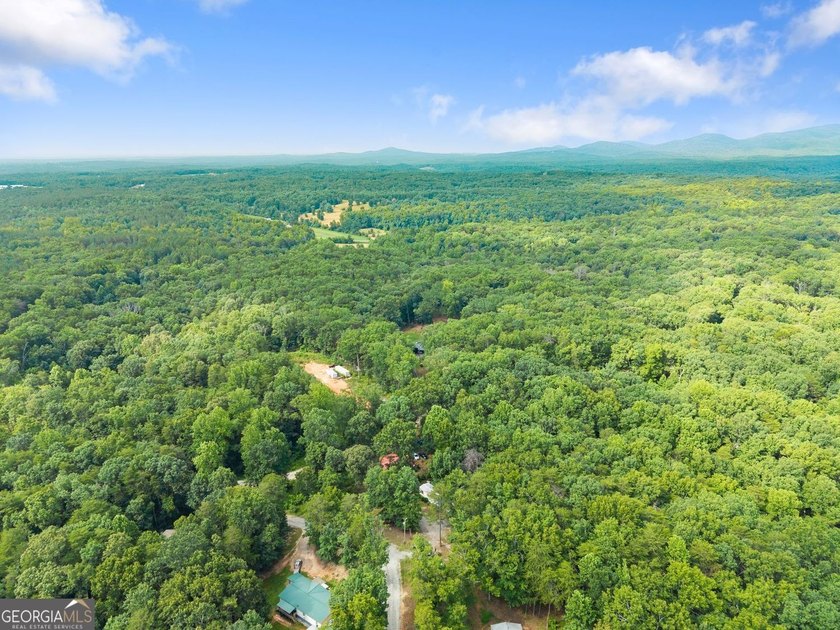 Affordable living in Dawsonville! Nestled on nearly a full acre - photo 20