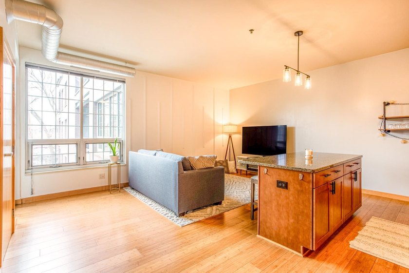 Nestled near the heart of Minneapolis, this beautiful 3rd floor - photo 6