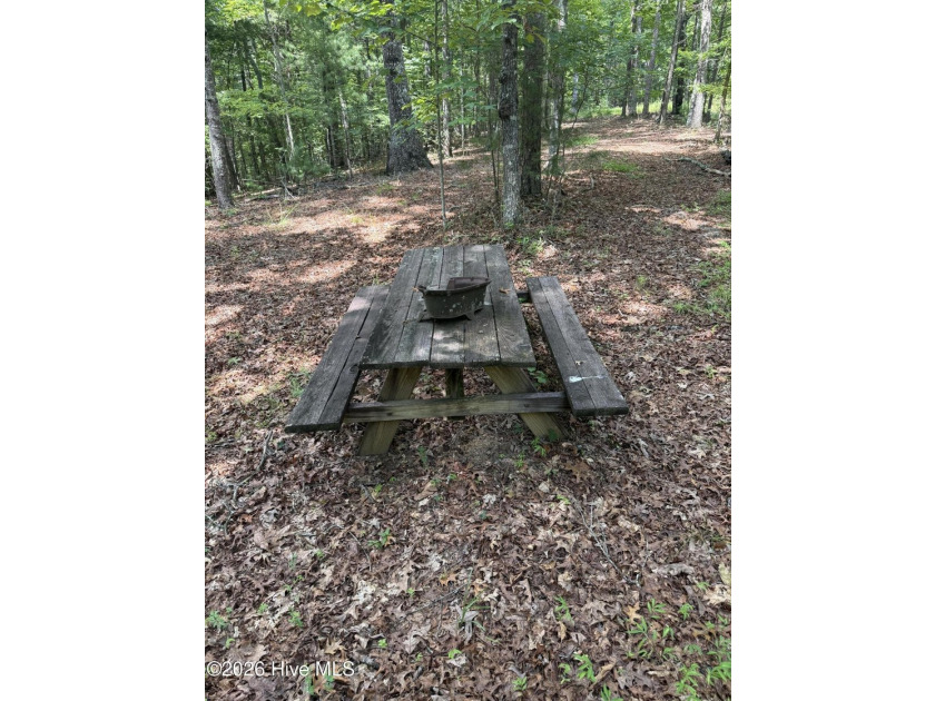 Nice unrestricted wooded acreage with a road already built and - photo 2