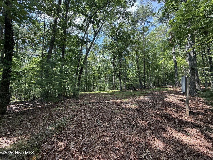 Nice unrestricted wooded acreage with a road already built and - photo 4
